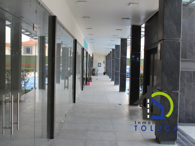 Inmobiliaria Toluca